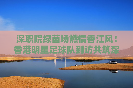 深职院绿茵场燃情香江风!香港明星足球队到访共筑深港足球情谊,深职院绿茵场迎香港明星足球队 共筑深港足球情谊