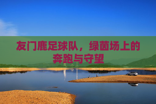 友门鹿足球队,绿茵场上的奔跑与守望