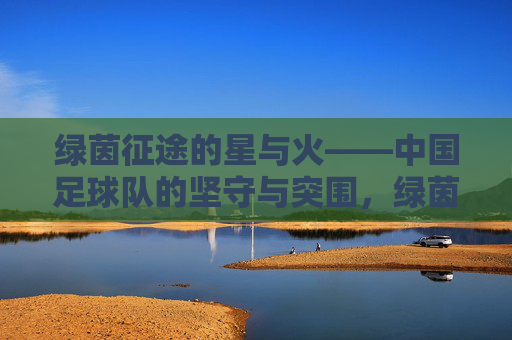 绿茵征途的星与火——中国足球队的坚守与突围，绿茵星火，中国足球的坚守与突围