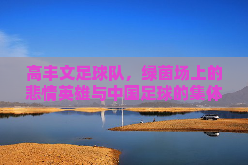 高丰文足球队,绿茵场上的悲情英雄与中国足球的集体记忆,高丰文足球队,中国足球的悲情英雄与集体记忆