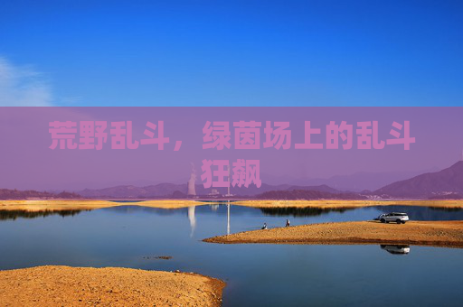 荒野乱斗,绿茵场上的乱斗狂飙