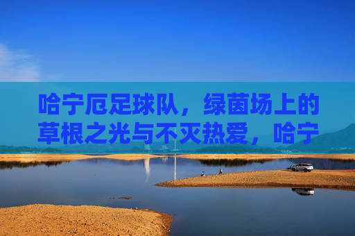 哈宁厄足球队,绿茵场上的草根之光与不灭热爱,哈宁厄足球队,草根之光与不灭的绿茵热爱