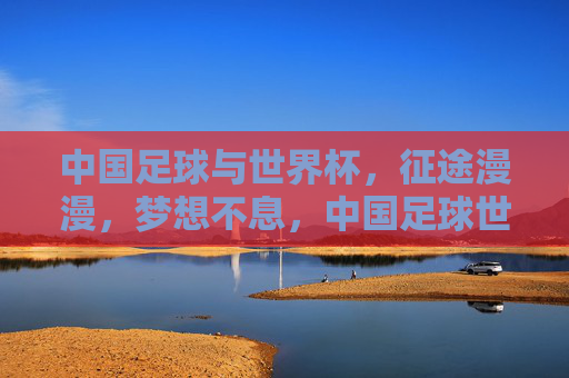 中国足球与世界杯，征途漫漫，梦想不息，中国足球世界杯，征途漫漫，梦想不息