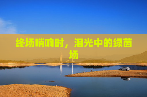 终场哨响时,泪光中的绿茵场