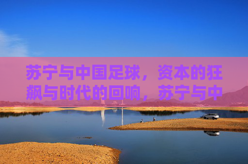 苏宁与中国足球，资本的狂飙与时代的回响，苏宁与中国足球，资本的狂飙与时代的回响