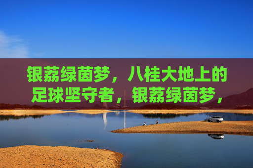 银荔绿茵梦，八桂大地上的足球坚守者，银荔绿茵梦，八桂大地足球坚守者