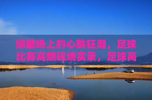 绿茵场上的心跳狂潮,足球比赛高燃现场实录,足球高燃现场,心跳狂潮实录