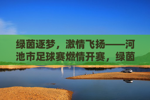 绿茵逐梦,激情飞扬——河池市足球赛燃情开赛,绿茵逐梦,河池市足球赛燃情开赛