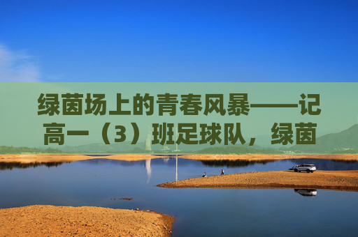 绿茵场上的青春风暴——记高一（3）班足球队，绿茵场上的青春风暴——高一（3）班足球队