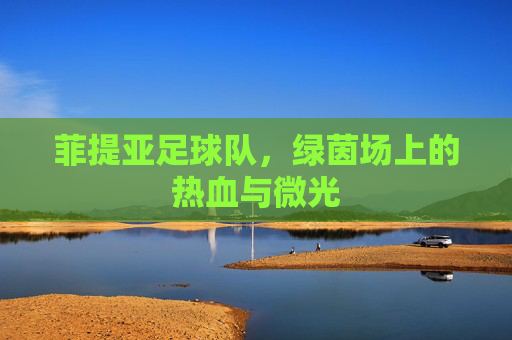 菲提亚足球队,绿茵场上的热血与微光