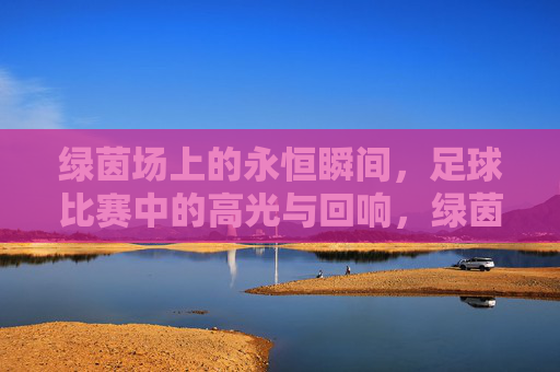 绿茵场上的永恒瞬间,足球比赛中的高光与回响,绿茵永恒,高光瞬间的赛场回响