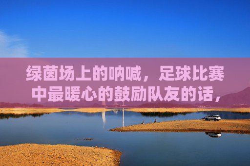 绿茵场上的呐喊，足球比赛中最暖心的鼓励队友的话，绿茵场暖心呐喊，足球比赛中最暖队友鼓励语