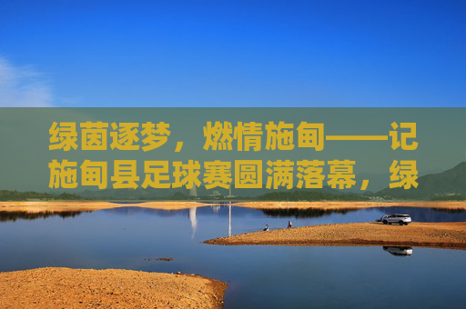 绿茵逐梦，燃情施甸——记施甸县足球赛圆满落幕，绿茵逐梦燃情施甸——施甸县足球赛圆满落幕