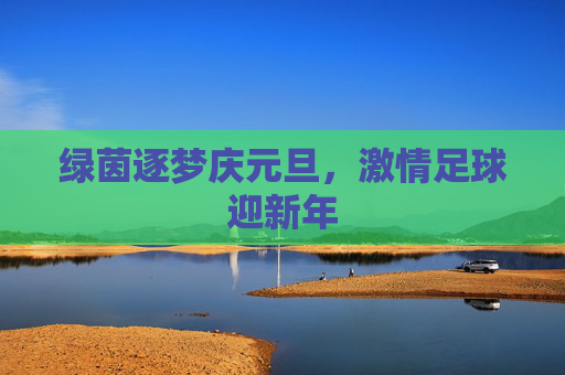 绿茵逐梦庆元旦,激情足球迎新年