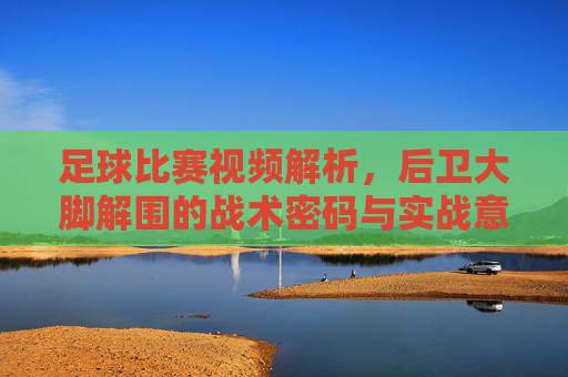 足球比赛视频解析,后卫大脚解围的战术密码与实战意义,足球视频解析,后卫大脚解围的战术密码与实战意义