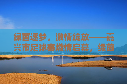 绿茵逐梦，激情绽放——嘉兴市足球赛燃情启幕，绿茵逐梦，嘉兴足球赛燃情启幕