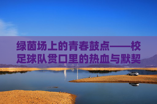 绿茵场上的青春鼓点——校足球队贯口里的热血与默契,绿茵青春鼓点,校足球队贯口里的热血默契