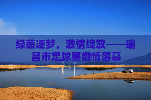 绿茵逐梦,激情绽放——瑞昌市足球赛燃情落幕