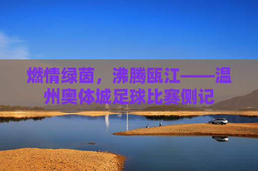 燃情绿茵,沸腾瓯江——温州奥体城足球比赛侧记