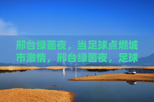 邢台绿茵夜，当足球点燃城市激情，邢台绿茵夜，足球点燃城市激情