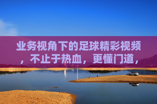 业务视角下的足球精彩视频,不止于热血,更懂门道,业务视角,足球精彩视频,不止热血更懂门道