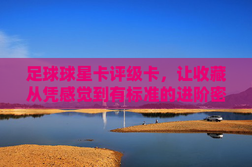 足球球星卡评级卡,让收藏从凭感觉到有标准的进阶密码,足球球星卡评级卡,收藏从凭感到标准的进阶密码