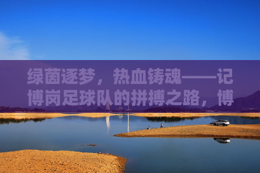 绿茵逐梦，热血铸魂——记博岗足球队的拼搏之路，博岗足球队，绿茵逐梦，热血铸魂