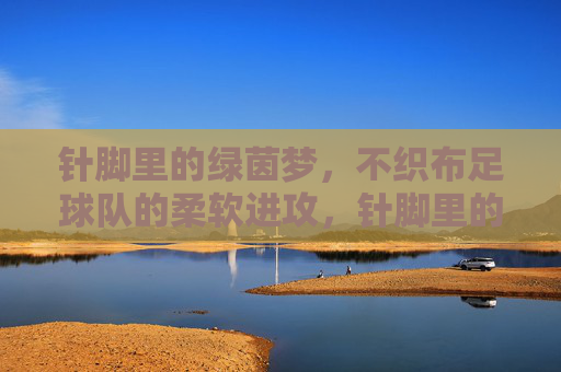针脚里的绿茵梦,不织布足球队的柔软进攻,针脚里的绿茵梦,不织布足球队的柔软进攻