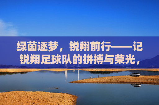 绿茵逐梦，锐翔前行——记锐翔足球队的拼搏与荣光，锐翔逐梦，拼搏铸就荣光