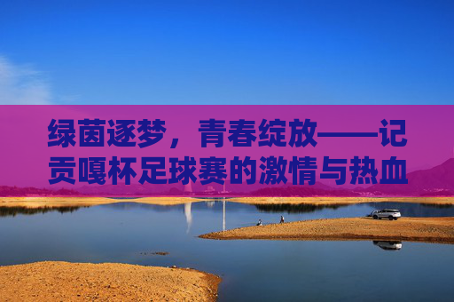 绿茵逐梦,青春绽放——记贡嘎杯足球赛的激情与热血,绿茵逐梦,青春绽放——贡嘎杯足球赛的激情与热血
