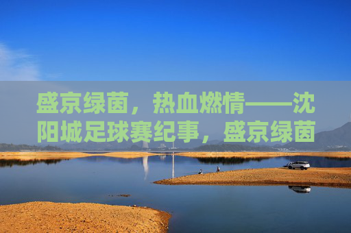 盛京绿茵，热血燃情——沈阳城足球赛纪事，盛京绿茵燃情纪事