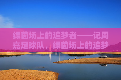 绿茵场上的追梦者——记周嘉足球队，绿茵场上的追梦者——周嘉足球队