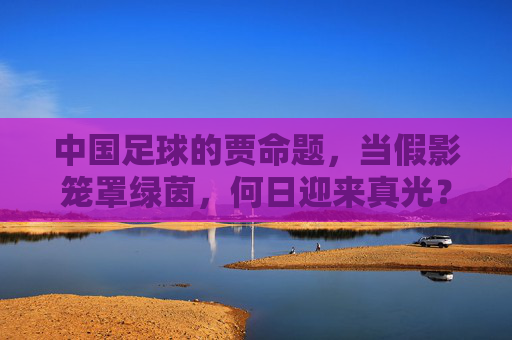 中国足球的贾命题,当假影笼罩绿茵,何日迎来真光?中国足球,假影笼罩绿茵,真光何日来?
