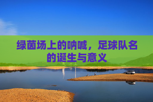 绿茵场上的呐喊,足球队名的诞生与意义