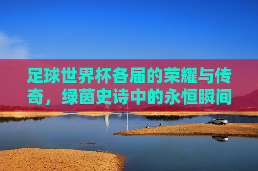 足球世界杯各届的荣耀与传奇,绿茵史诗中的永恒瞬间