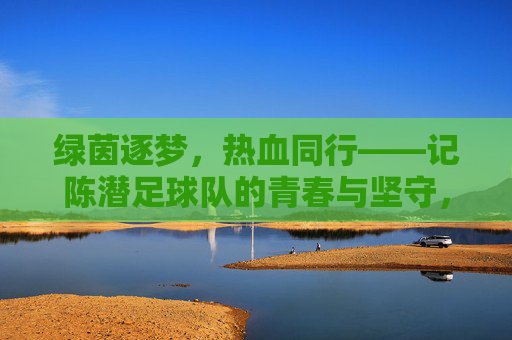 绿茵逐梦,热血同行——记陈潜足球队的青春与坚守,绿茵逐梦,热血同行,陈潜足球队的青春坚守
