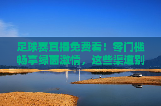 足球赛直播免费看!零门槛畅享绿茵激情,这些渠道别错过,足球直播免费看!零门槛畅享绿茵激情,这些渠道别错过