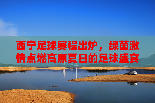 西宁足球赛程出炉，绿茵激情点燃高原夏日的足球盛宴，西宁足球赛程出炉，绿茵燃情高原夏日盛宴