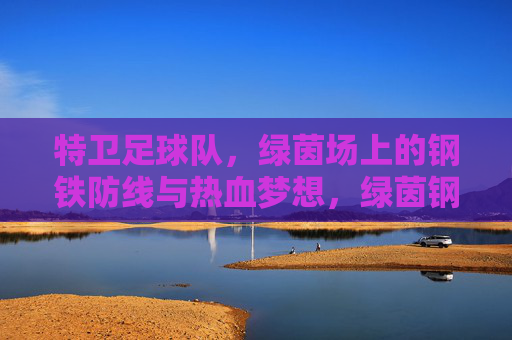 特卫足球队,绿茵场上的钢铁防线与热血梦想,绿茵钢铁防线,特卫热血梦想