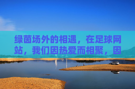 绿茵场外的相遇，在足球网站，我们因热爱而相聚，因热爱，绿茵场外相遇