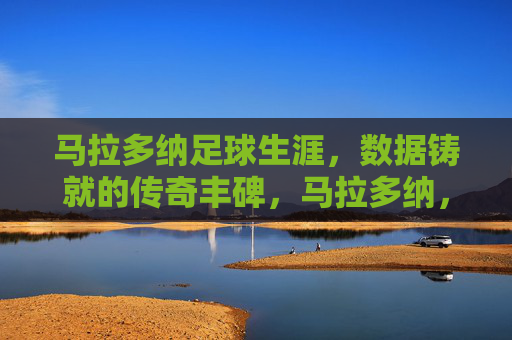 马拉多纳足球生涯，数据铸就的传奇丰碑，马拉多纳，数据铸就的足球传奇