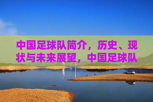 中国足球队简介,历史、现状与未来展望,中国足球队,历史、现状与未来展望