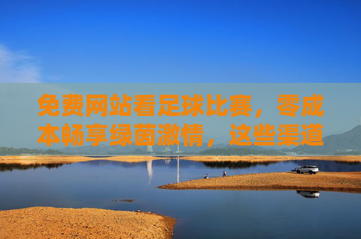 免费网站看足球比赛,零成本畅享绿茵激情,这些渠道靠谱又实用,免费看足球,零成本畅享绿茵激情的靠谱渠道