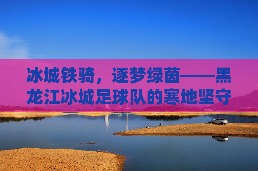 冰城铁骑,逐梦绿茵——黑龙江冰城足球队的寒地坚守与热血征途,冰城铁骑,寒地坚守热血逐梦