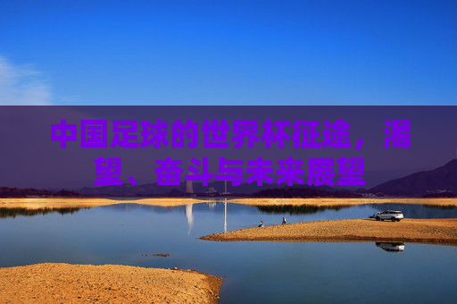 中国足球的世界杯征途,渴望、奋斗与未来展望