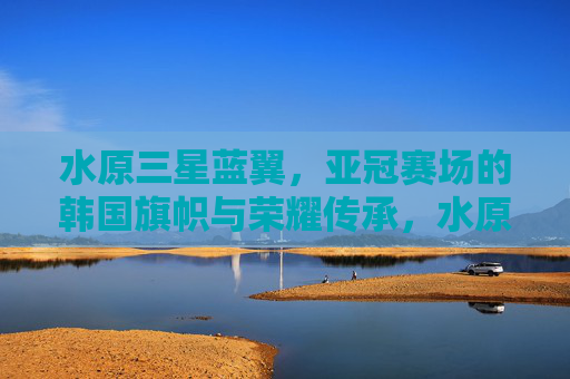 水原三星蓝翼,亚冠赛场的韩国旗帜与荣耀传承,水原三星蓝翼,亚冠赛场的韩国旗帜与荣耀传承