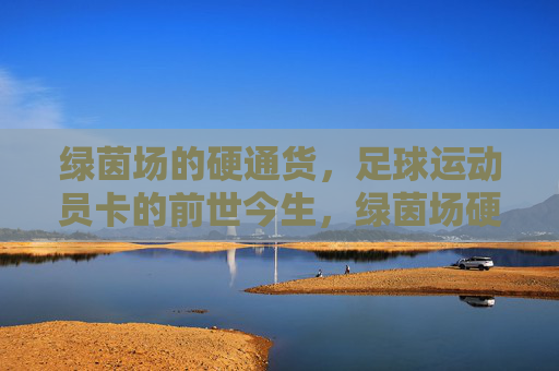 绿茵场的硬通货,足球运动员卡的前世今生,绿茵场硬通货,足球运动员卡的前世今生
