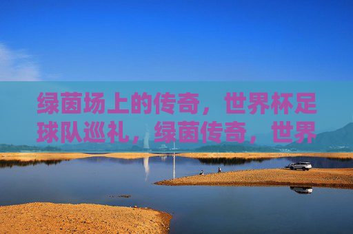 绿茵场上的传奇,世界杯足球队巡礼,绿茵传奇,世界杯球队巡礼