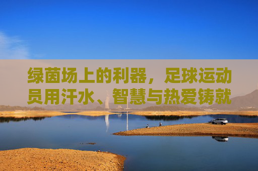 绿茵场上的利器，足球运动员用汗水、智慧与热爱铸就传奇，汗水、智慧与热爱，绿茵场上的足球传奇