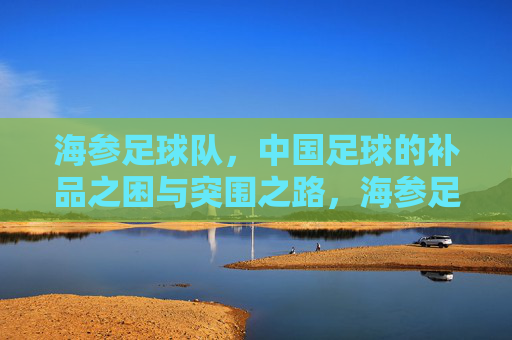 海参足球队,中国足球的补品之困与突围之路,海参足球队,中国足球补品之困的突围之路
